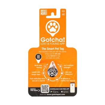 /assets/alt_4/XMMSIDTAGQR_2PK.jpg?20251222164620