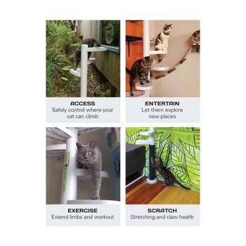 /assets/alt_4/XMTSP12BLK.jpg?20251222164738