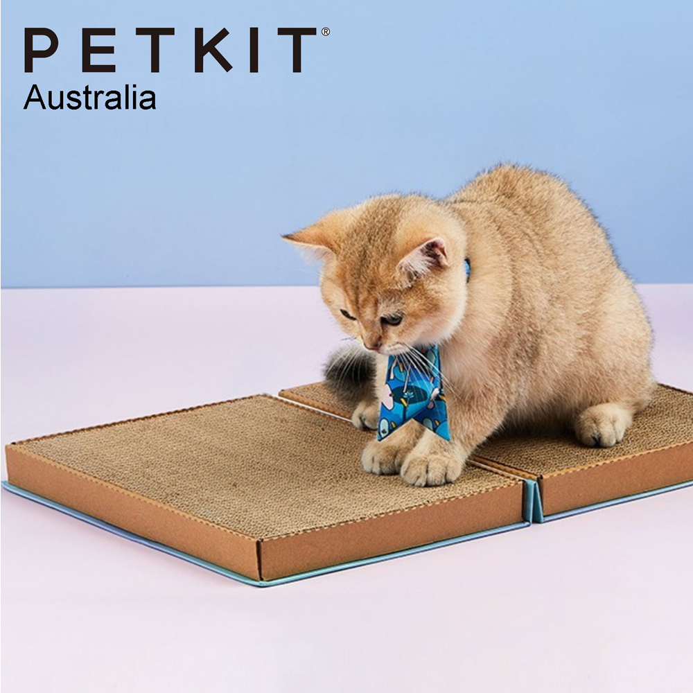 Petkit Catpedia Scratcher Book Blue Online KG Electronic
