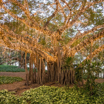 /assets/alt_5/10004658_4PK.jpg?20250424124801