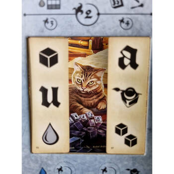 /assets/alt_5/115778.jpg?20250113150127