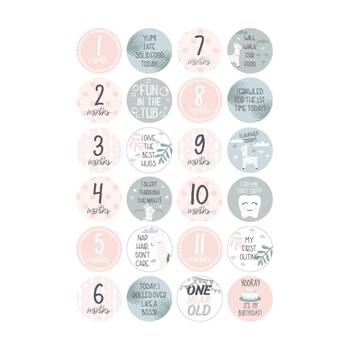 /assets/alt_5/31352NBD-6P.jpg?20251120104548