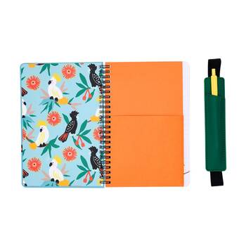 /assets/alt_5/38NBC_4PK.jpg?20251229120338