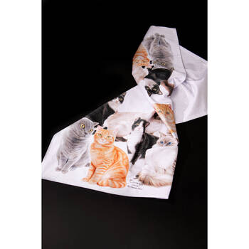 Large View /assets/alt_5/522303_2PK.jpg?20250131150131