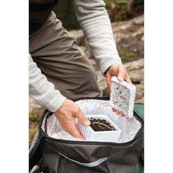 /assets/alt_5/68381NP.jpg?20251014163632