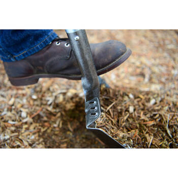 /assets/alt_5/922115.jpg?20250915102157