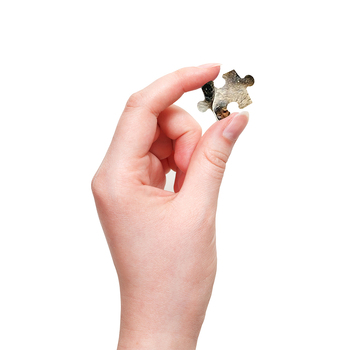 /assets/alt_5/9781743085158.jpg?20230829163316