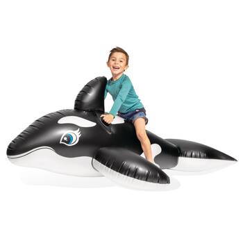 /assets/alt_5/A58561.jpg?20251014183228