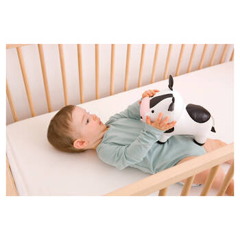 /assets/alt_5/BTL-COW.jpg?20210223164837