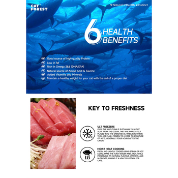 /assets/alt_5/CF0104.jpg?20230908104215