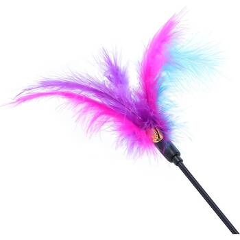 /assets/alt_5/CHW-36317_12PK.jpg?20260325191724