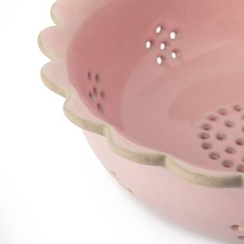 /assets/alt_5/CHW-JOBLBERRYBWL20_2PK.jpg?20260305121605