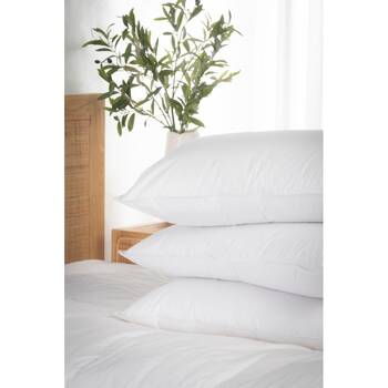 /assets/alt_5/CHW-PFONHUGD50SUR.jpg?20260203120051