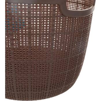 /assets/alt_5/CHW-SG162337_6PK.jpg?20260123183140