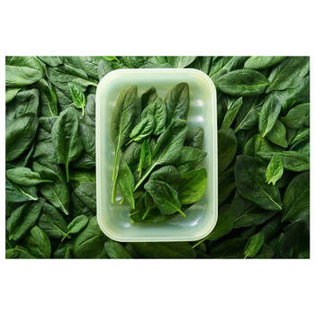 /assets/alt_5/DK-70551_2PK.jpg?20250708174610