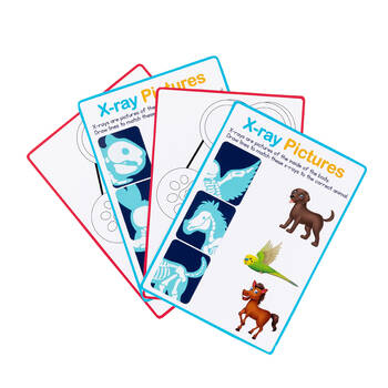 /assets/alt_5/EVLMFV.jpg?20251003151553