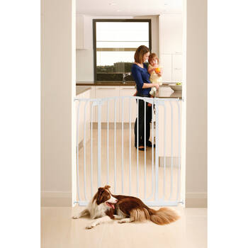 /assets/alt_5/F191W.jpg?20251001091129