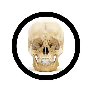 /assets/alt_5/GM-3027.jpg?20240718135356