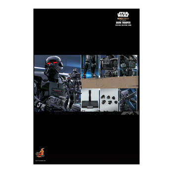 /assets/alt_5/HOTTMS032.jpg?20250520133251