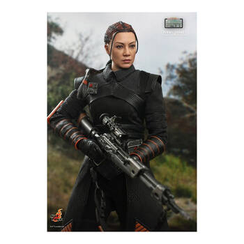 /assets/alt_5/HOTTMS068.jpg?20250520133415