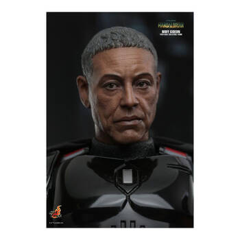 /assets/alt_5/HOTTMS107.jpg?20250515164629