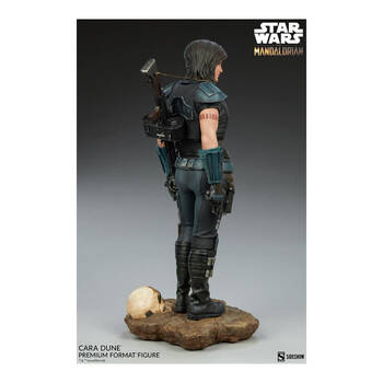 /assets/alt_5/SID300789.jpg?20250514164930