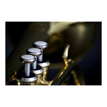 /assets/alt_5/TYM-101914.jpg?20250812160148