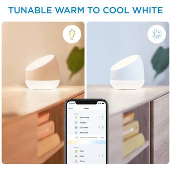 /assets/alt_5/WIZWCASQUIRE.jpg?20251229163228