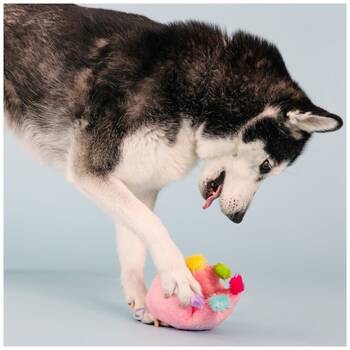 /assets/alt_5/XFSCRO_2PK.jpg?20251219104558