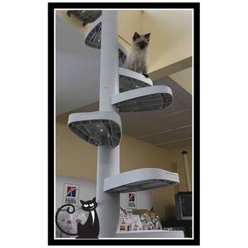 /assets/alt_5/XMTSP18WHT.jpg?20251222164802