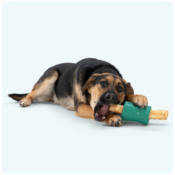 /assets/alt_5/XWPFUNMAR.jpg?20251223170151