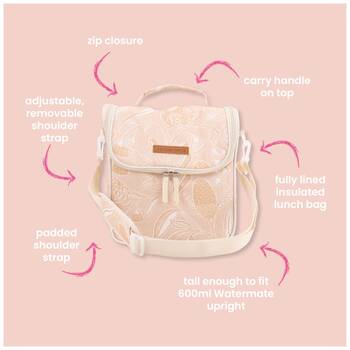 /assets/alt_6/11LTN.jpg?20251229114547