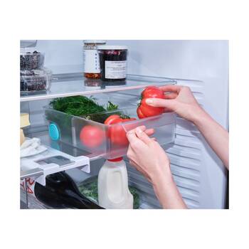 /assets/alt_6/8500009.jpg?20251204154640