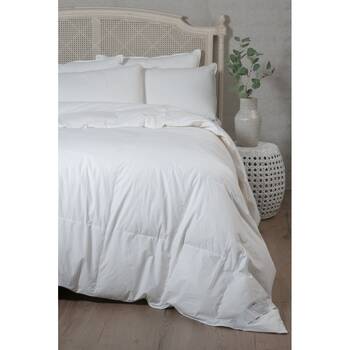 /assets/alt_6/CHW-QUONKHUGD85SK.jpg?20260203120146