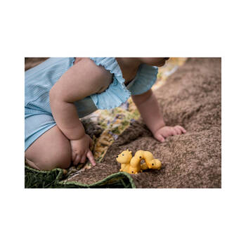 Large View /assets/alt_6/DSL3834_2PK.jpg?20241224124652