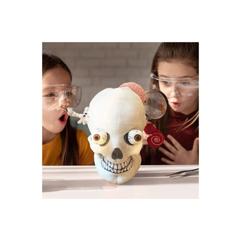 /assets/alt_6/GM-3027.jpg?20240718135357