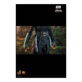 /assets/alt_6/HOTDX20.jpg?20250520133428
