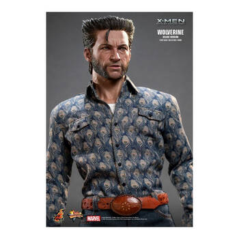 /assets/alt_6/HOTMMS660.jpg?20250515164752