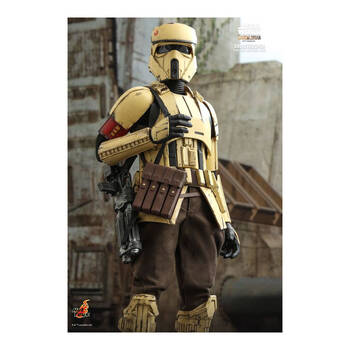 /assets/alt_6/HOTTMS031.jpg?20250520133551