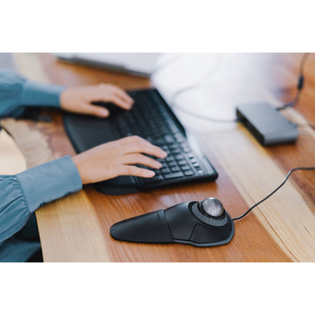 /assets/alt_6/K72344US.jpg?20221115130133