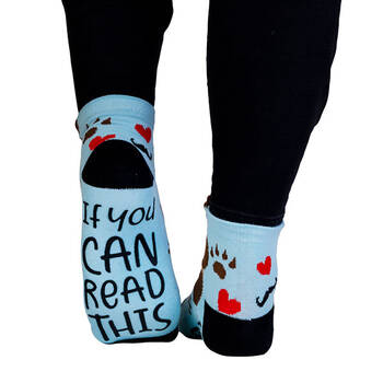 /assets/alt_6/MDI-DE-FS-PB.jpg?20250612161828