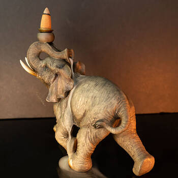 /assets/alt_6/MDI-XP-BB-E_2PK.jpg?20250617161029