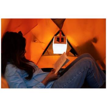 /assets/alt_6/MS-0196-0100.jpg?20251031111116