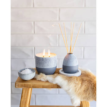 /assets/alt_6/NORDIF-01_2PK.jpg?20250919161355