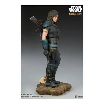 /assets/alt_6/SID300789.jpg?20250514164931