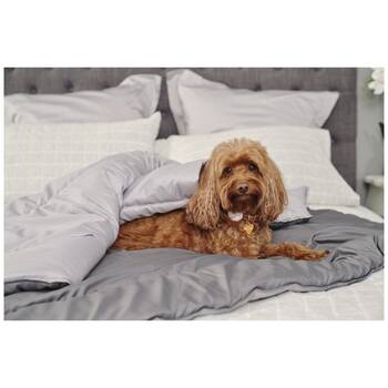 /assets/alt_6/T8988_2PK.jpg?20251107171521