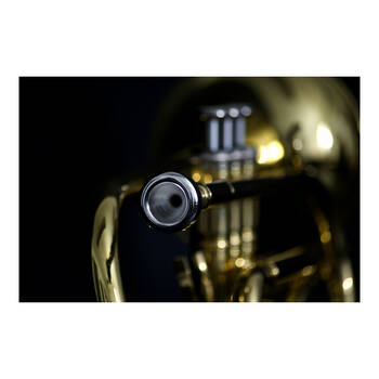 /assets/alt_6/TYM-101914.jpg?20250812160149