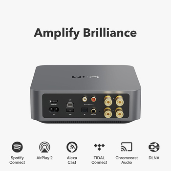 /assets/alt_6/WIIM-AMP-SG.jpg?20231205082417