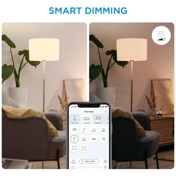 /assets/alt_6/WIZWCASQUIRE.jpg?20251229163229