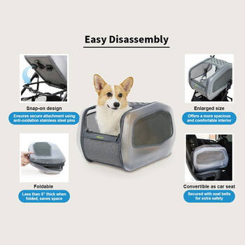 /assets/alt_6/XINEORSVRMST.jpg?20250821130109